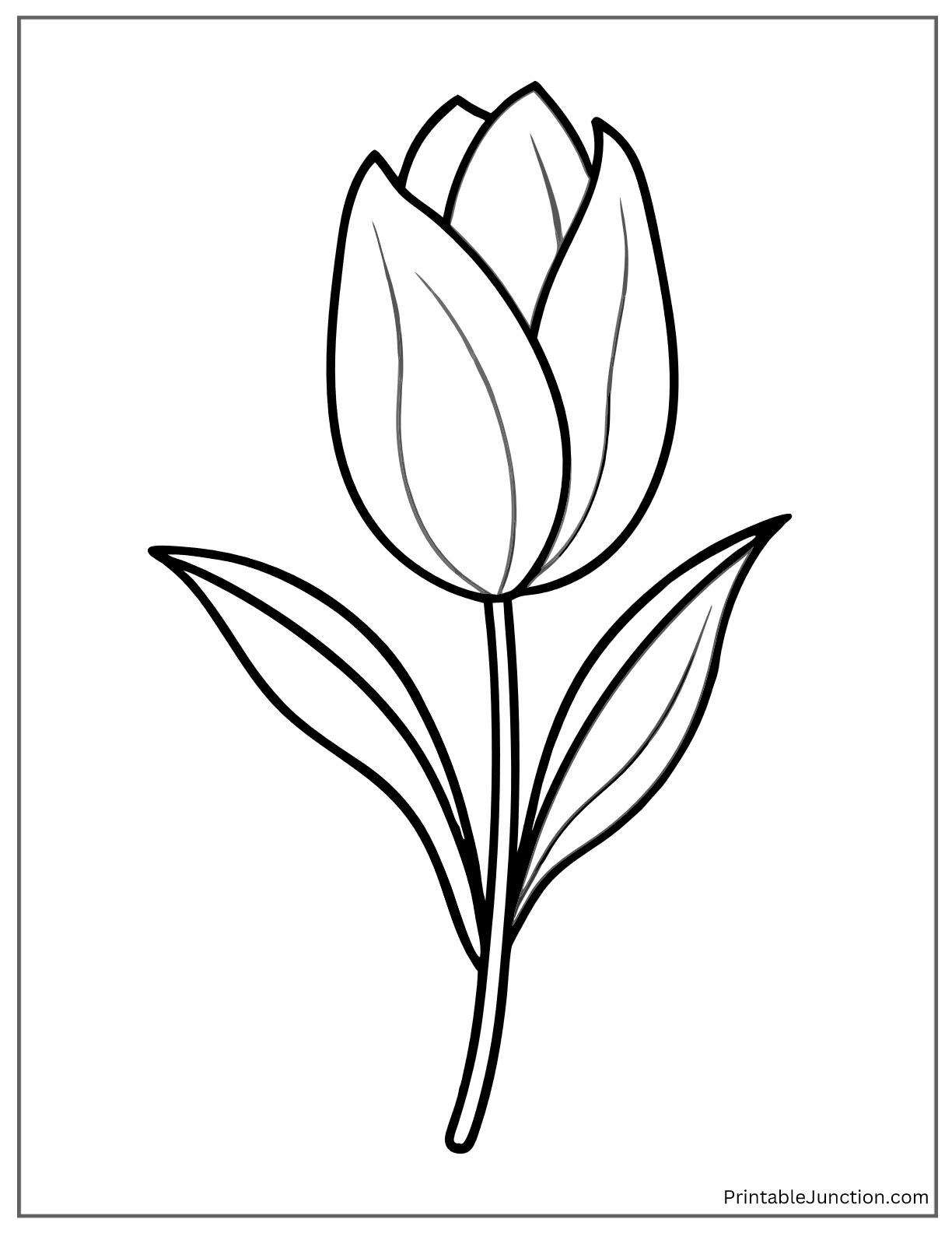 black-and-white tulip design