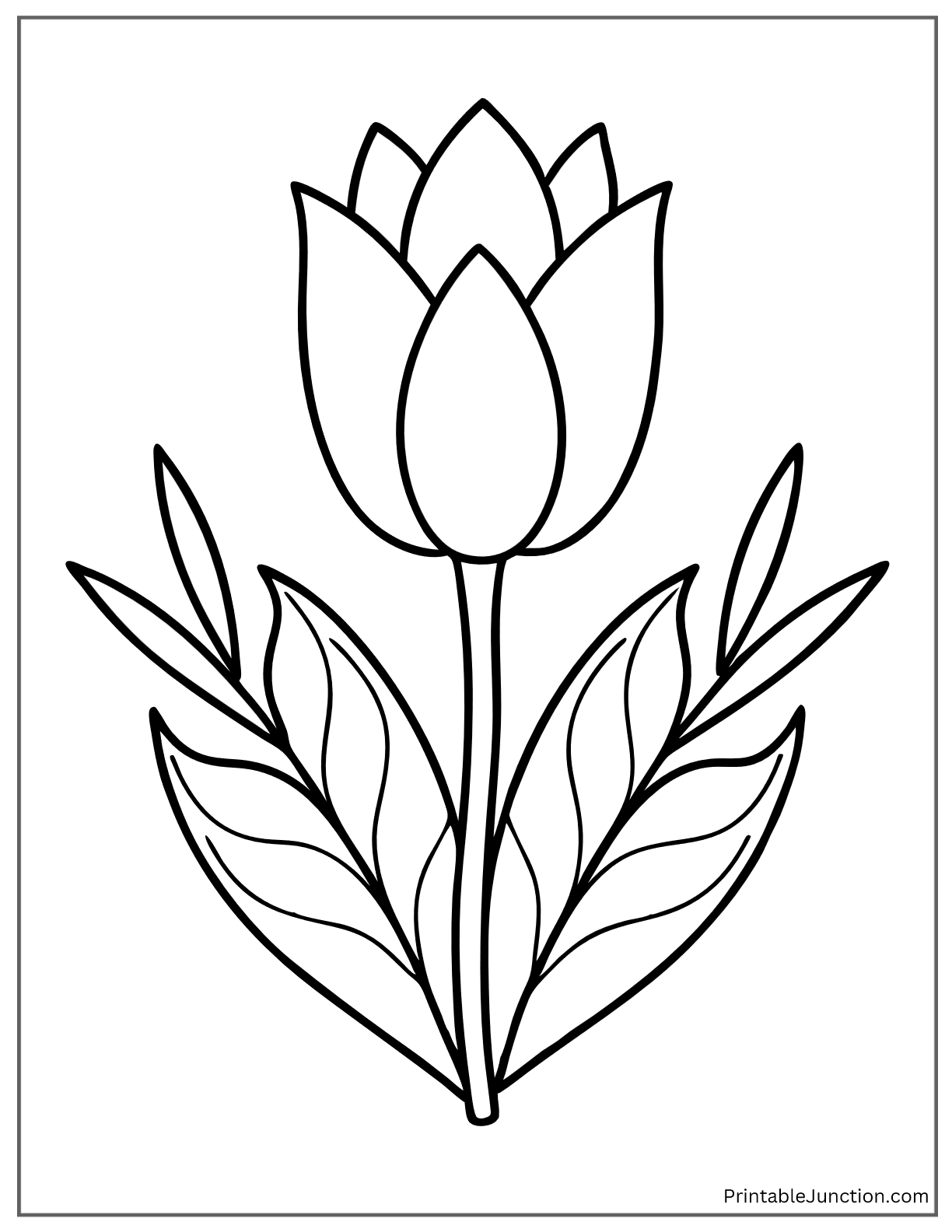 bunga tulip with tropical leaves