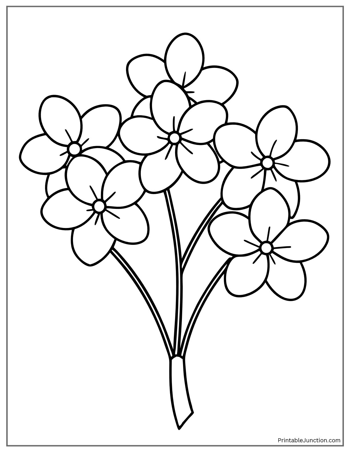 cherry blossom