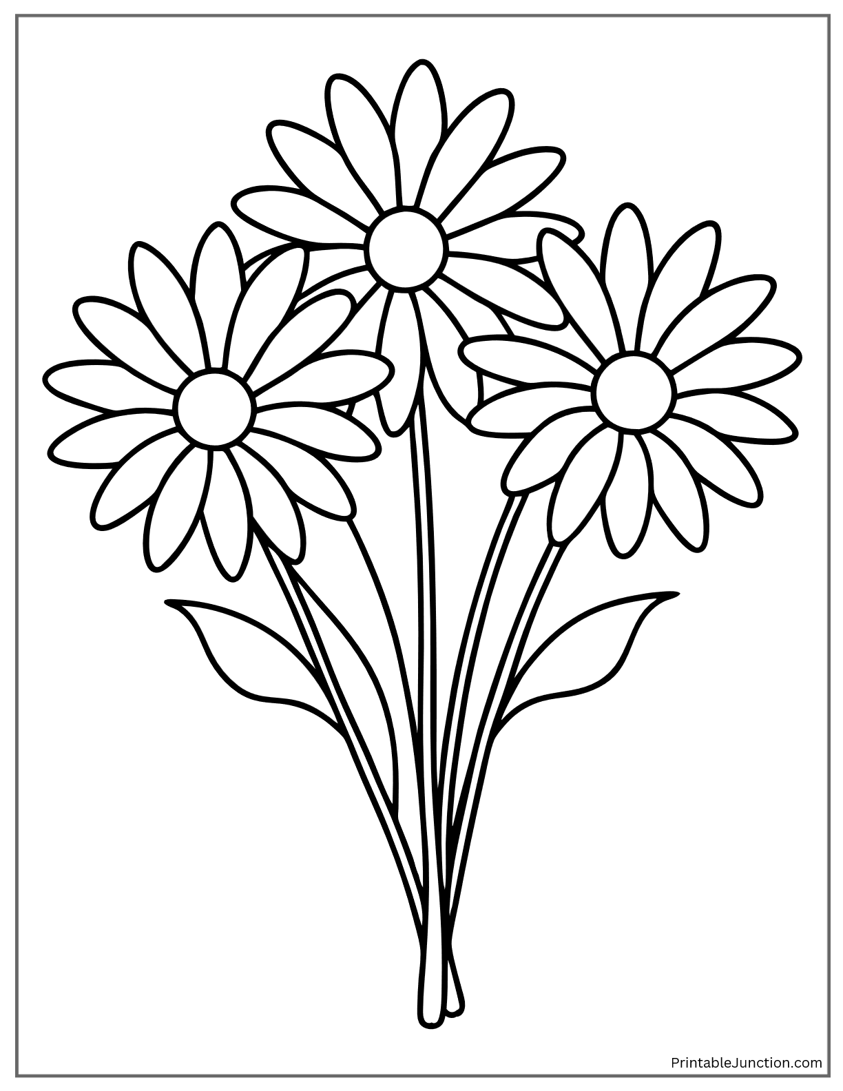 daisy