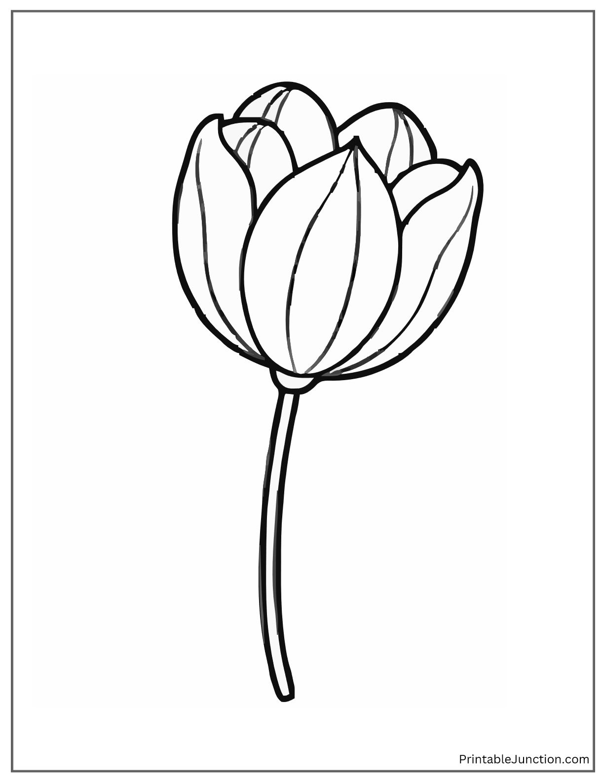 large tulip for preschool kids
