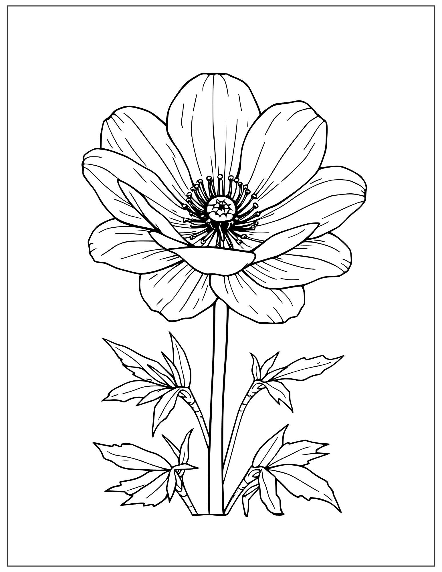realistic anemone flower coloring page for adults
