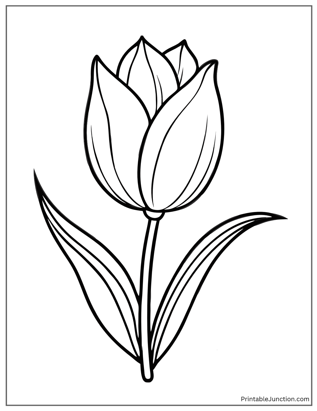 realistic tulip flower