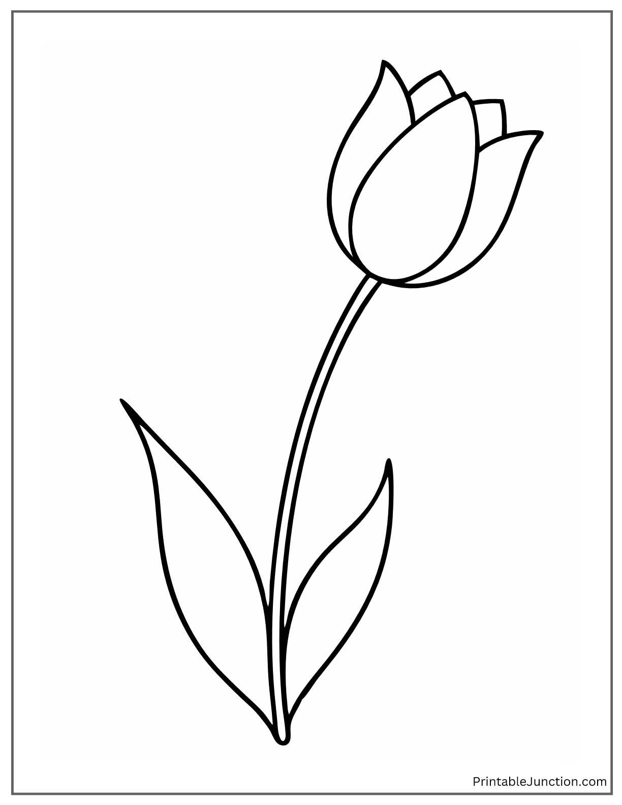 simple tulip flower template