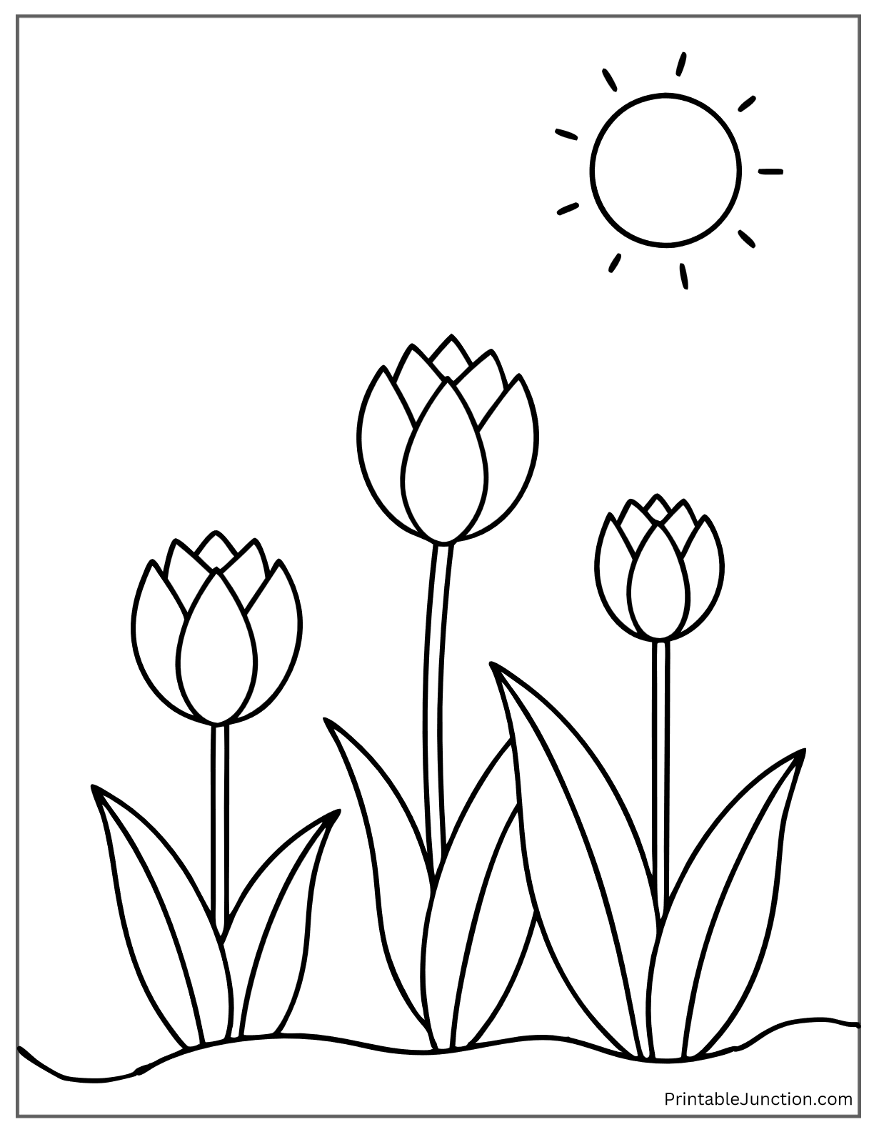 spring tulip garden with sunshine