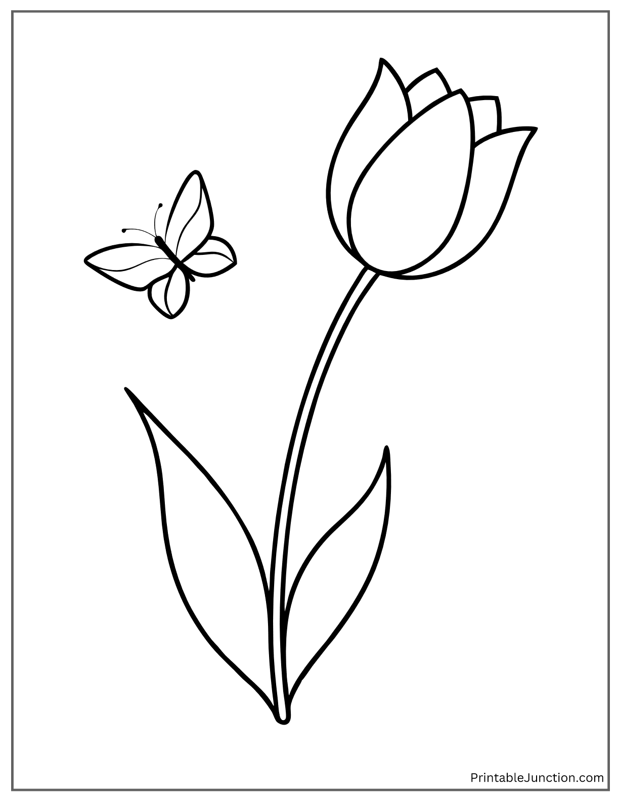 tulip and a butterfly