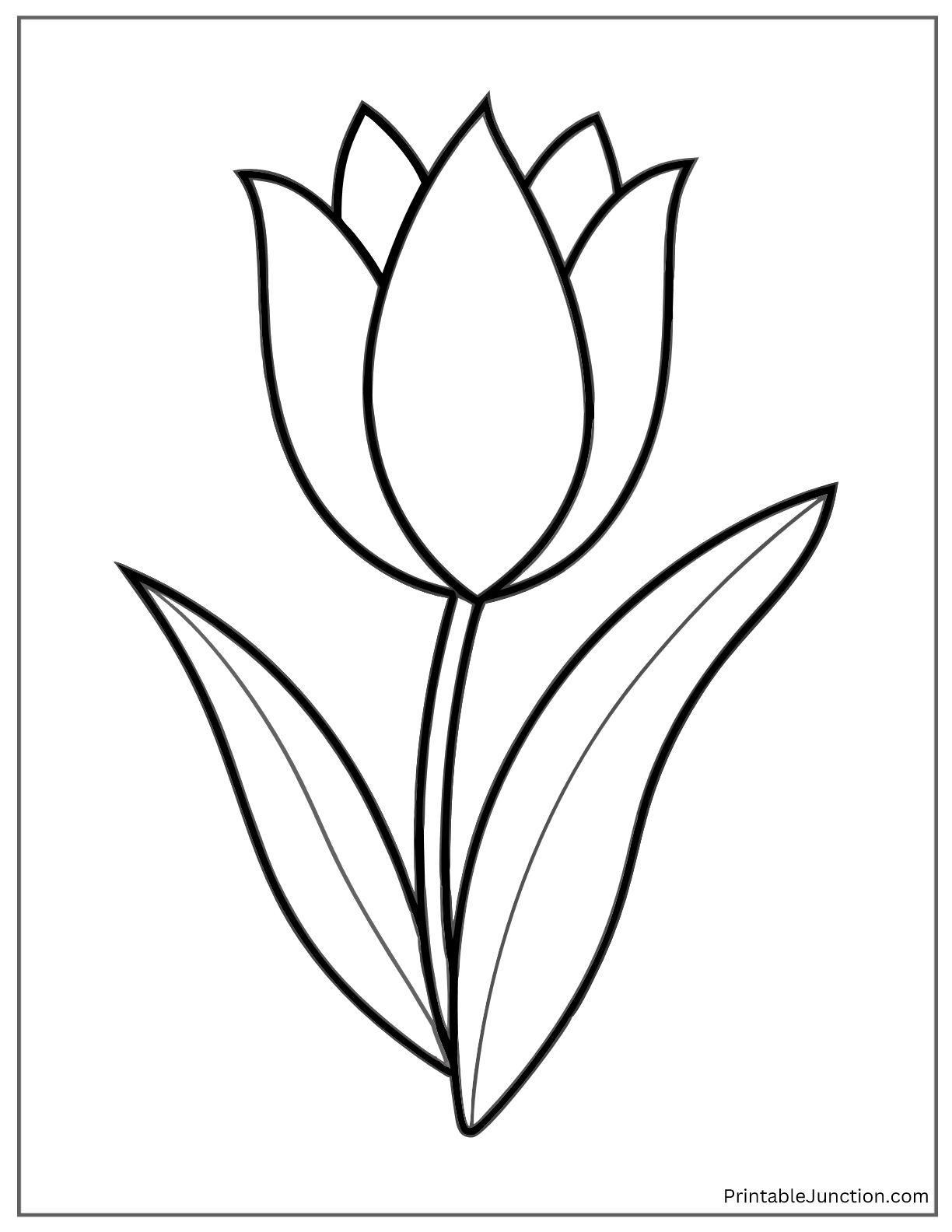 tulip drawing template