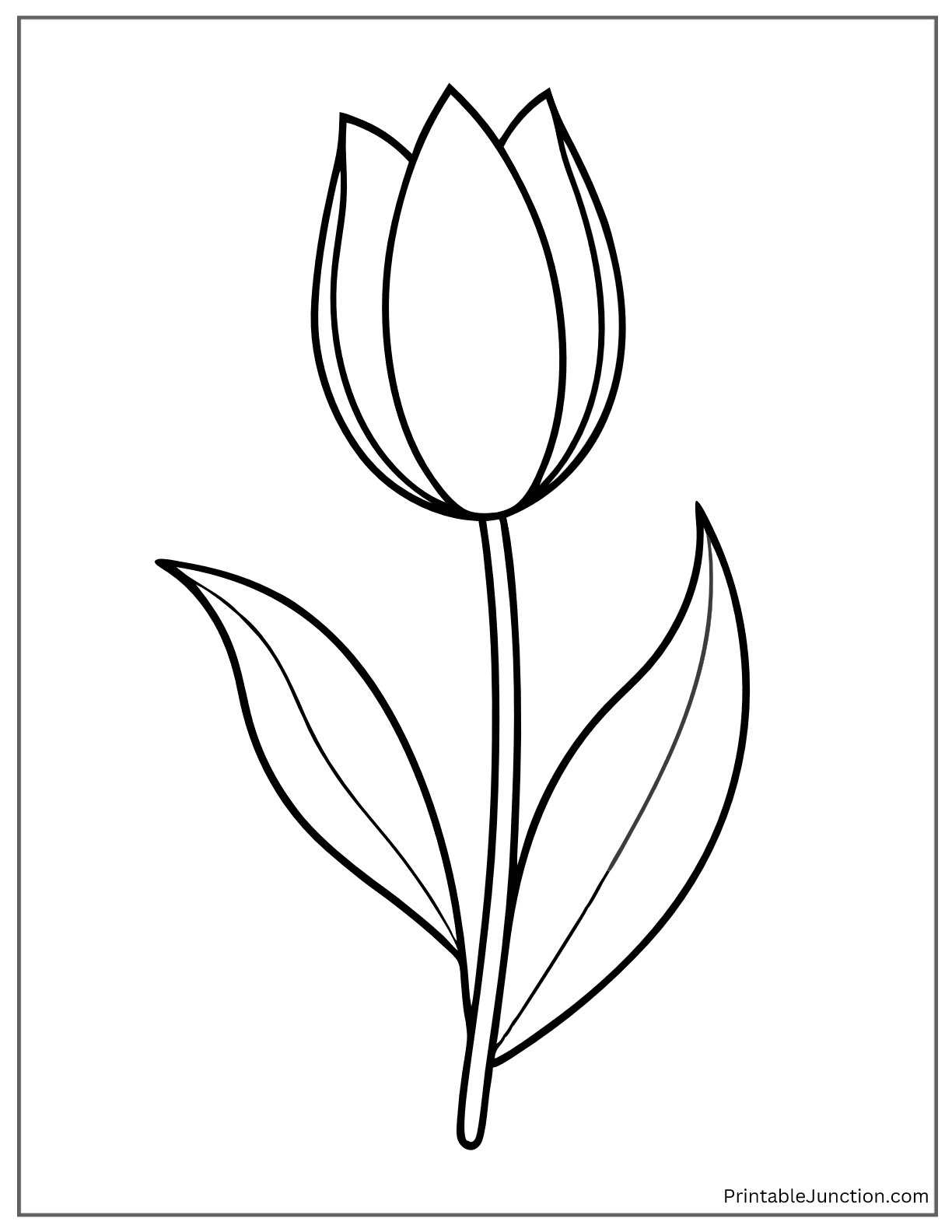 tulip template with bold outlines