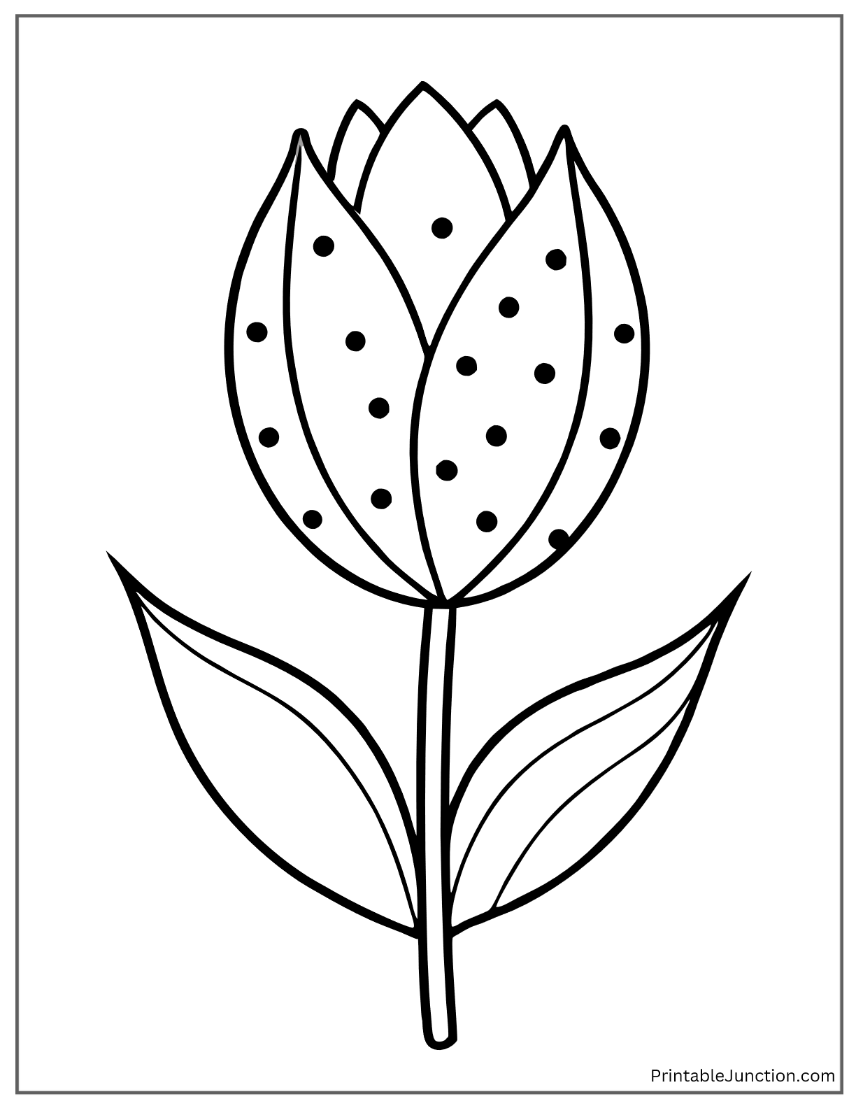 tulip with a dotted pattern